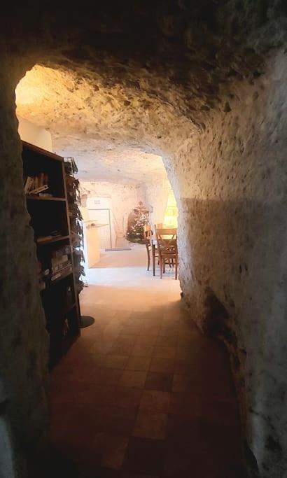Troglo Entre Caves Et Chateaux Montlouis-sur-Loire Exterior photo